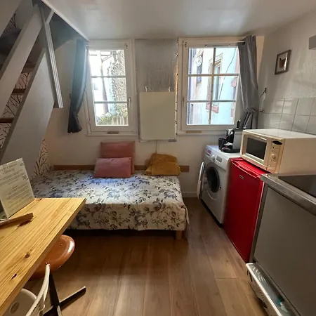 Daire Petit Duplex Centre Strazburg