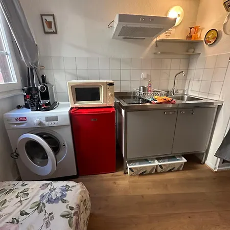 Petit Duplex Centre דירה שטרסבורג